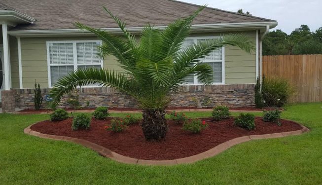 planting flower bed